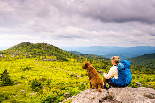 A Woman And Her Dog Hiking The Wilburn Ridge Tail Section Of The Appalachian Trail, Grayson Highlands, Mouth Of Wilson, Virginia.