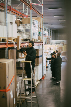 Male manual worker checking inventory while standing on ladder in logistics warehouse