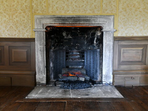 electric imitation fireplace with burning logs effect