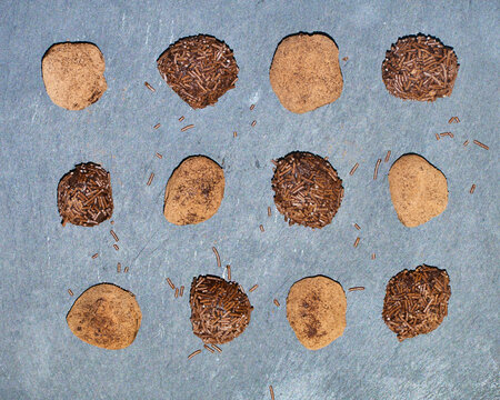 Tasty Top view of chocolate truffles with filling cacao powder a