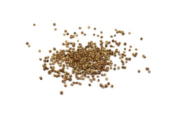 Coriander seeds isolated on white background. Pile of coriander seeds isolated (white background). Dry coriander seeds, common cooking spice.