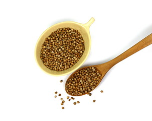 Coriander seeds in a wooden spoon isolated on white background. Pile of coriander seeds isolated (white background). Dry coriander seeds, common cooking spice.