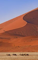 Vertikale Aufnahme des Namib-Naukluft-Nationalparks mit einer roten Düne im Hintergrund und Tieren © Konstantinos Arvanitopoulos/Wirestock