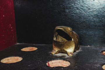 Closeup shot of the Colombian Rana game frog