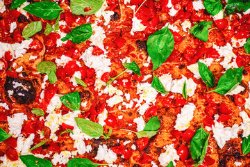 Top view of a mouth watering gourmet pizza with buffalo mozzarella cheese, cherry tomatoes and...