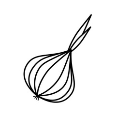 Vector line art garlic. Isolated vegetable contour for coloring. Simple vegetable pictogram in cartoon style