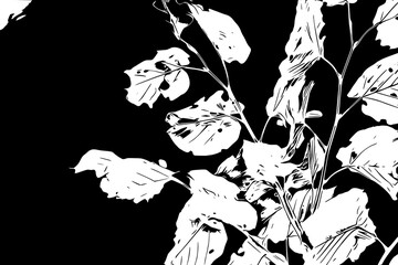 Black and white leaves, illustration. 