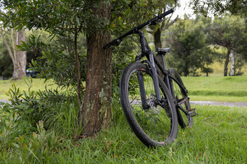 Fototapeta na wymiar metal bicycle leaning against a leafy tree in a park, means of transport in a park