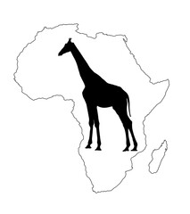 Continent map of Africa vector contour silhouette  with giraffe. Travel invitation card for Africa nature. Savannah safari trip attraction with tall animal giraffe silhouette. Tourist traveler trip.