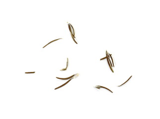 Dried aromatic spice rosemary isolated on white background. Natural spice rosemary.