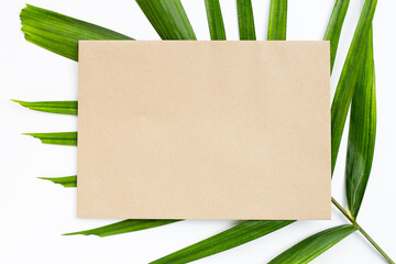 Blank brown paper on tropical palm leaves on white