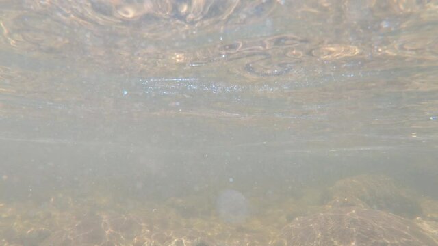 Underwater Shot Of Fighting A Rainbow Trout In The Thredbo River At Kosciuszko National Park In Nsw, Australia