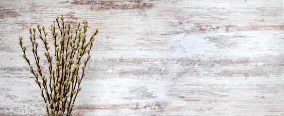 Rustic banner with pussy willow stems on a white distressed barnwood background