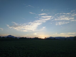 sunset over the field