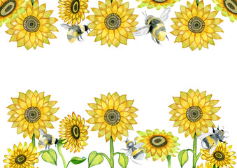 sunflowers and bees isolated on white watercolor by hand