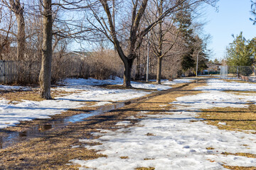 Spring in the park with melting snow on the ground. Springtime in Ottawa, Canada.