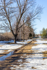 Spring in the park with melting snow on the ground. Springtime in Ottawa, Canada.