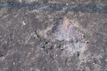 Archosaur Footprints Cliff, Ancient Dinosaur footprint on a rock