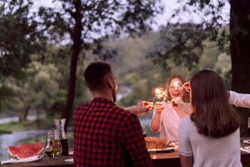 french dinner party on summer