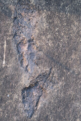 Archosaur Footprints Cliff, Ancient Dinosaur footprint on a rock