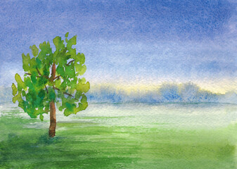 Summer landscape, tree in the field. The picture was painted by hand with watercolors.