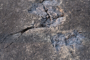 Archosaur Footprints Cliff, Ancient Dinosaur footprint on a rock