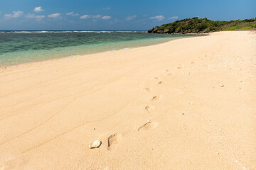The incredible and uninhabited beach with footprints of one person in the sand, taking you back to a relaxing and introspective day with Gaia. Iriomote Island.