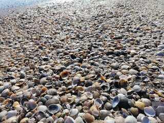 stones on the beach