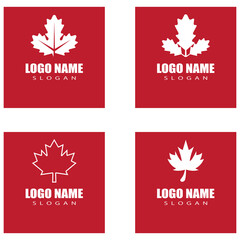 Maple leaf vector illustration design template