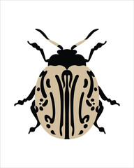 calligrapha multipunctata. flat vector illustration of bugs. insects and garden concept animated in colorful theme. cartoon illustration of nature isolated on white background.