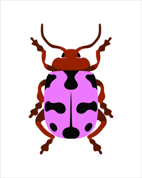 pink leaf bettle. flat vector illustration of bugs. insects and garden concept animated in colorful theme. cartoon illustration of nature isolated on white background.