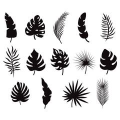 Fototapeta na wymiar Tropical leaves, set of black silhouettes, vector illustration.