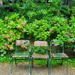 The scenery after the rain