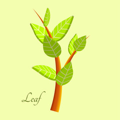 Green leaf 3D relaistic icons eco environment or bio ecology vector symbols. Composition of 3D stylized leaves