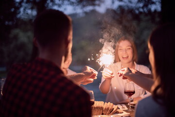 french dinner party on summer