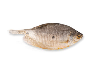 Obraz premium Dried THREE-SPOT GOURAMI. The body is white, silver, gray, bluish. There are black stripes along the body, characterized by a black spot at the center of the body and at the tail of each point.
