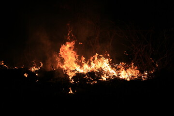 Fire flames burning dry grass on dark background.