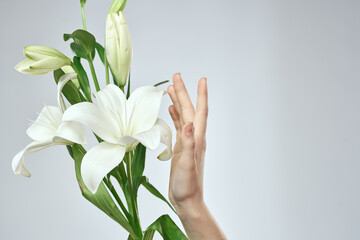Obraz premium A bouquet of white flowers and female hands on a light background cropped view close-up
