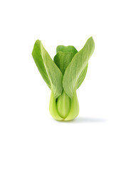 Bok choy vegetable isolated on white background - clipping path