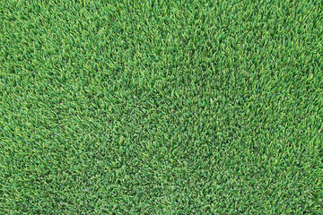 Fototapeta premium Artificial green grass texture as background. Top view