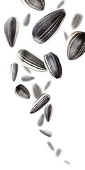 sunflower seeds in group flying on white background