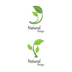 Leaf icon Vector Illustration design Logo template