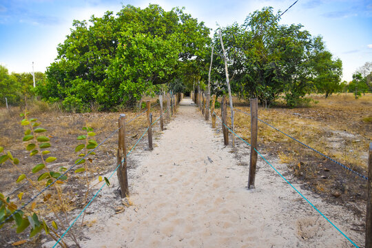 Sand path, with wooden fence, inertial image, beautiful landscape Jalapão - Brazil