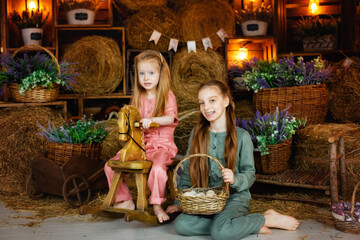 A little girl in a pink jumpsuit holds a basket of fluffy ducklings. Pretty girls laugh merrily and play with animals in the hayloft. Easter composition