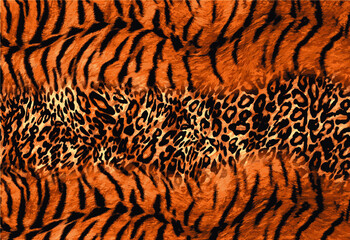 abstract animal skin pattern vector