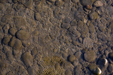 Air bubbles at the bottom of the river, like pearls.