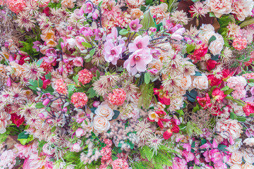 Fototapeta premium Abstract background of colorful flower