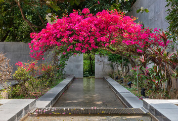 modern tropical style landscape backyard flower garden with pond