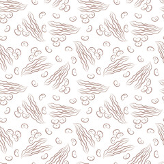 Beans Vector Seamless pattern. Vegetables black and white background.
