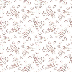 Beans Vector Seamless pattern. Vegetables black and white background.
